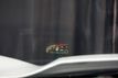 2019 Chevrolet Corvette *Z06 2LZ* *7-Speed Manual* *Carbon Ceramic Brakes* *Full PPF* - 23020515 - 63