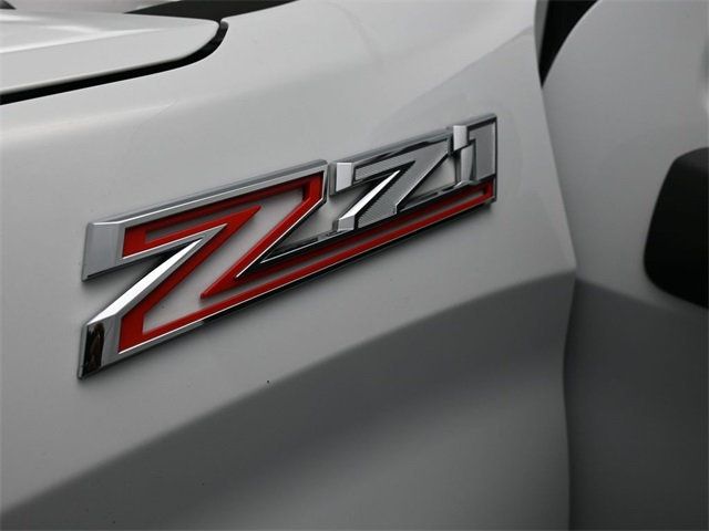 2019 Chevrolet Silverado 1500 4WD Crew Cab 147" Custom Trail Boss - 22900975 - 12