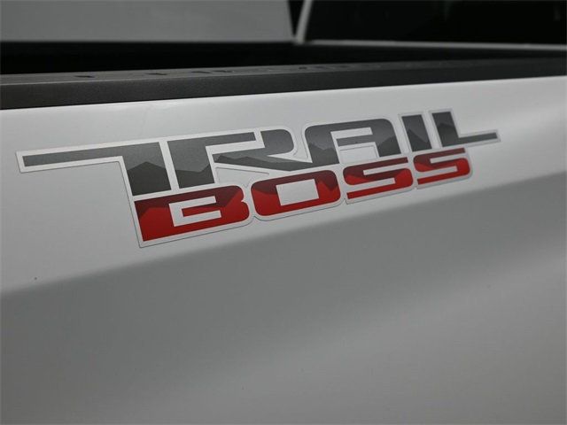 2019 Chevrolet Silverado 1500 4WD Crew Cab 147" Custom Trail Boss - 22900975 - 19