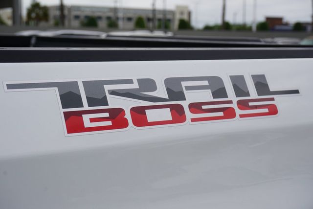 2019 Chevrolet Silverado 1500 4WD Crew Cab 147" LT Trail Boss - 23007453 - 6