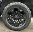2019 Chevrolet Silverado 1500 4WD Crew Cab 157" RST - 23001127 - 30