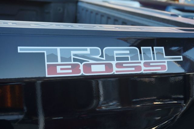2019 Chevrolet Silverado 1500 CUSTOM TRAIL BOSS, 4X4, PREMIUM WHEELS, BACKUP CAMERA, TOW PKG - 23094311 - 11