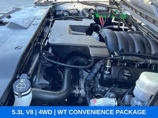 2019 Chevrolet Silverado 1500 LD 4WD Double Cab Work Truck - 23036063 - 19