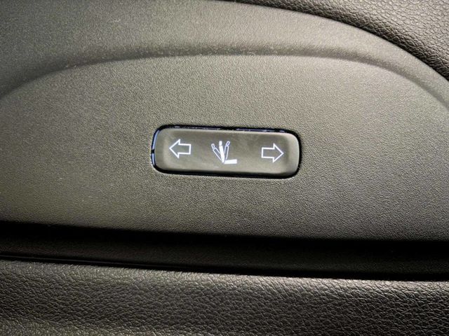 2019 Chrysler Pacifica Limited 4dr Mini Van - 22950316 - 21