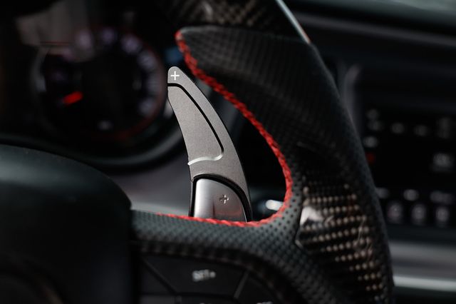 2019 Dodge Challenger R/T RWD - 22953173 - 29