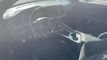 2019 Dodge Challenger R/T Scat Pack RWD - 23038106 - 20