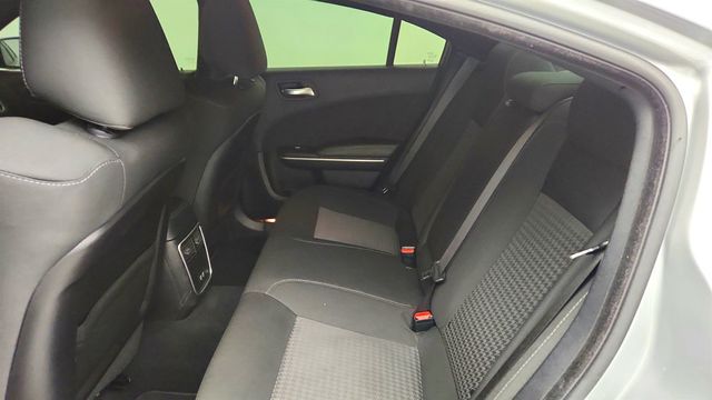 2019 Dodge Charger Scat Pack w/ Dual Carbon Stripes - 23027404 - 21