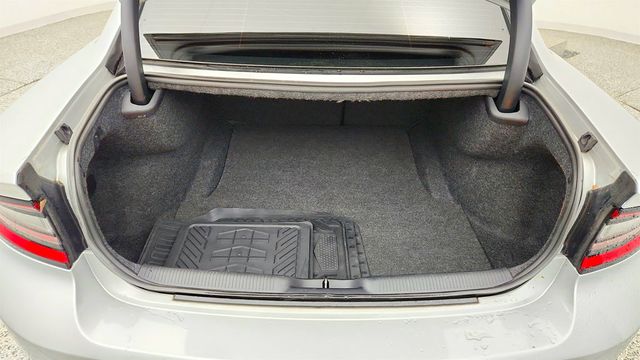 2019 Dodge Charger Scat Pack w/ Dual Carbon Stripes - 23027404 - 22