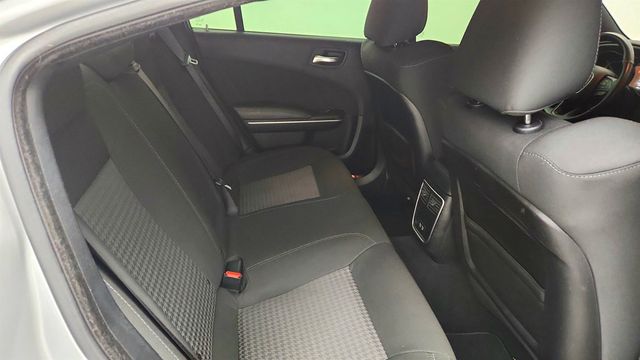 2019 Dodge Charger Scat Pack w/ Dual Carbon Stripes - 23027404 - 23