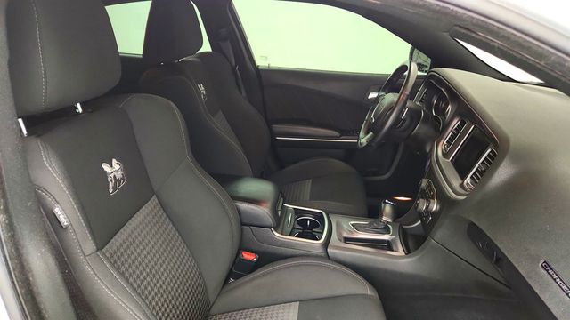2019 Dodge Charger Scat Pack w/ Dual Carbon Stripes - 23027404 - 24