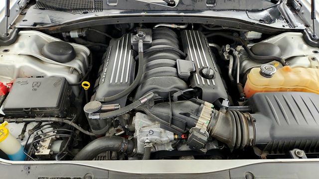 2019 Dodge Charger Scat Pack w/ Dual Carbon Stripes - 23027404 - 26