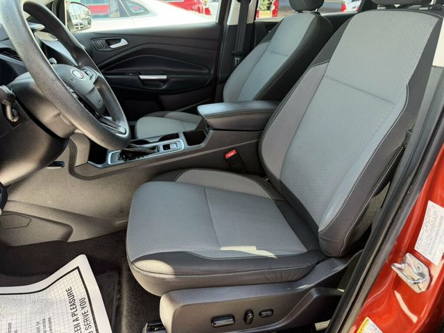2019 Ford Escape SE FWD - 23081837 - 1