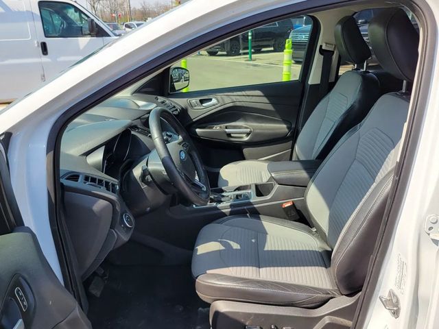 2019 Ford Escape SE Sport Utility 4D - 23032405 - 1