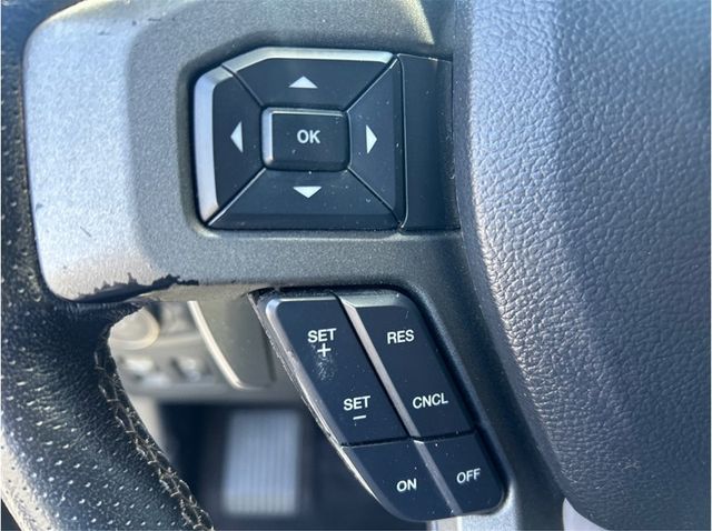 2019 Ford F150 SuperCrew Cab RAPTOR 4X4 NAV BACK UP CAM CLEAN - 23038814 - 13