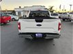 2019 Ford F150 SuperCrew Cab XLT 4X4 ECOBOOST BACK UP CAM 1OWNER CLEAN - 22669470 - 5