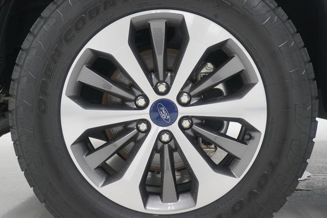 2019 Ford F-150  - 23023637 - 22