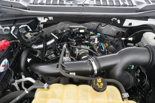 2019 Ford F-150  - 23023637 - 25
