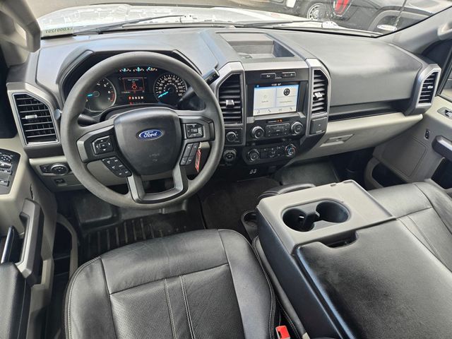 2019 Ford F-150  - 23031828 - 10