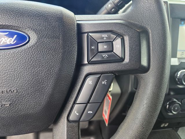 2019 Ford F-150  - 23031828 - 20