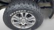 2019 Ford F-150 King Ranch - 23033051 - 3