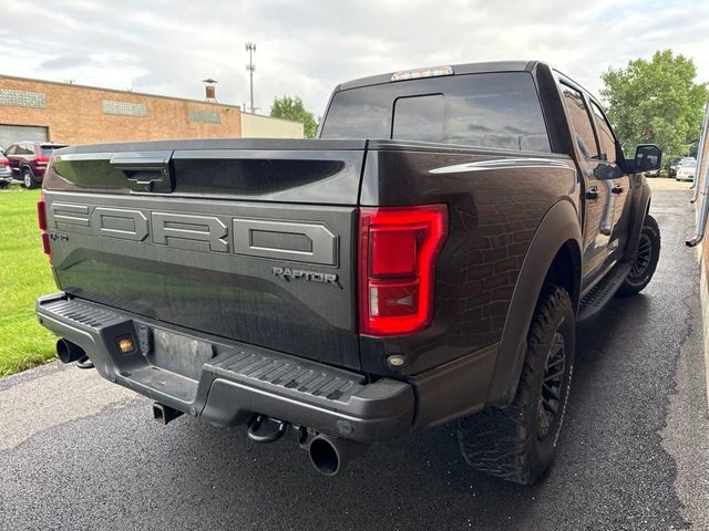2019 Ford F-150 Raptor 4WD SuperCrew 5.5' Box - 23067784 - 10