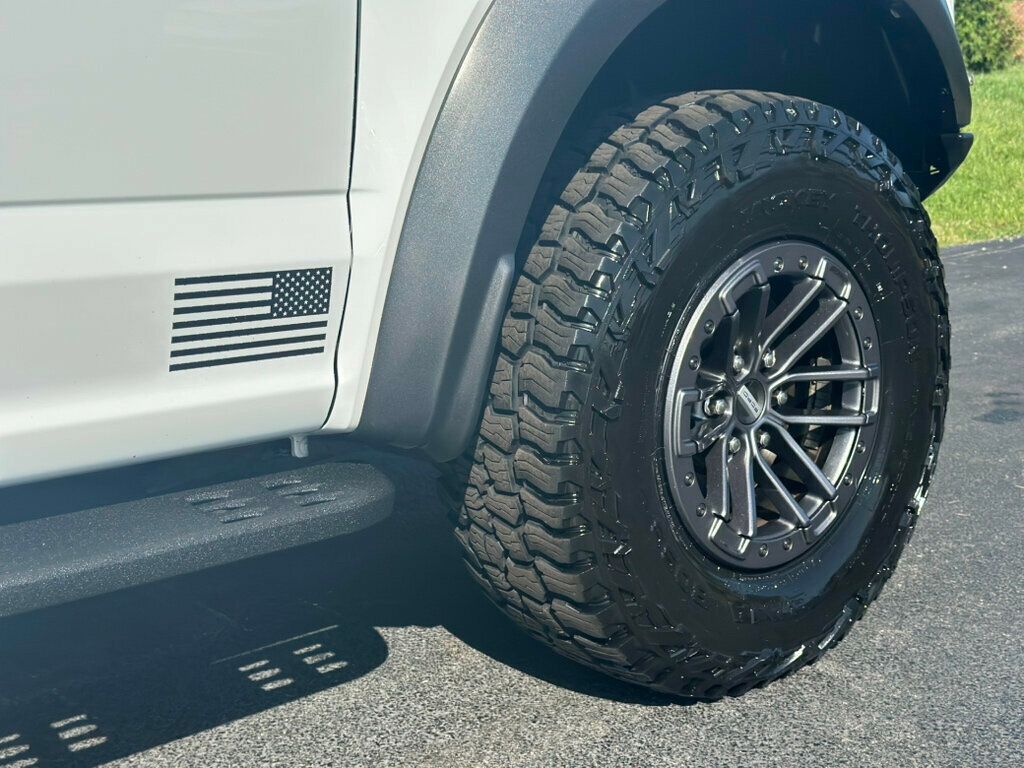 2019 Ford F-150 Raptor photo 10