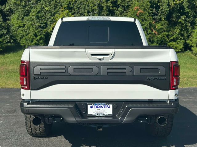 2019 Ford F-150 Raptor 4WD SuperCrew 5.5' Box - 22915967 - 4