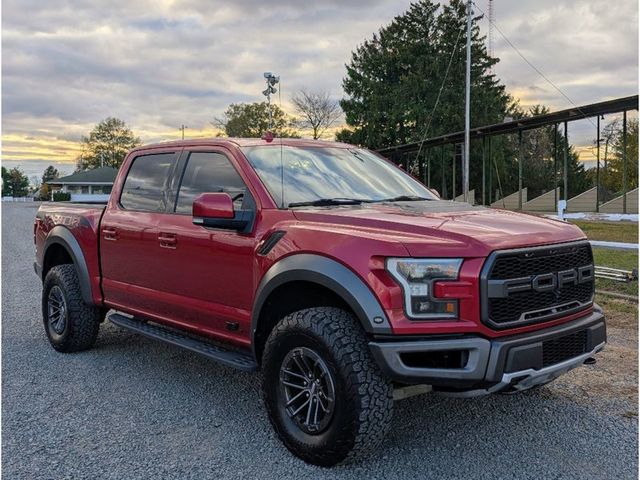 2019 Ford F-150 Raptor 4WD SuperCrew 5.5' Box - 22946935 - 2