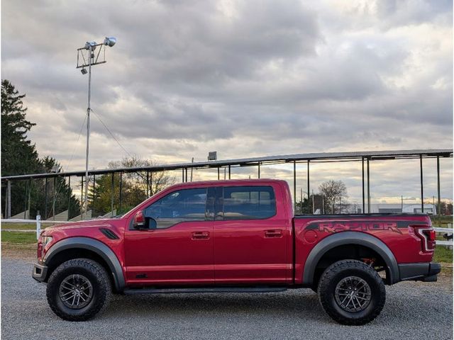 2019 Ford F-150 Raptor 4WD SuperCrew 5.5' Box - 22946935 - 3