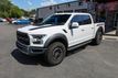 2019 Ford F-150 Raptor 4WD SuperCrew 5.5' Box - 23029879 - 1