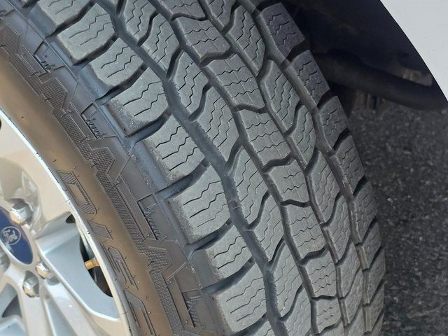 2019 Ford F-150 XL - 22885501 - 11