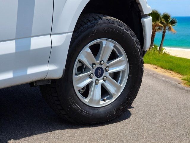 2019 Ford F-150 XL - 22885501 - 6