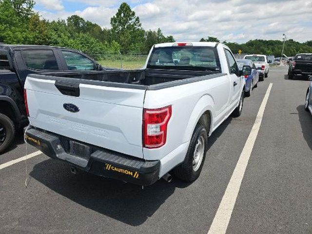 2019 Ford F-150 XL 2WD Reg Cab 8' Box - 23039451 - 2