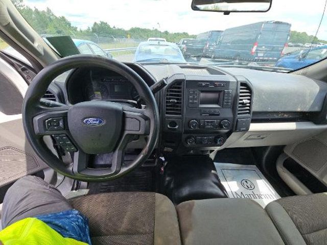 2019 Ford F-150 XL 2WD Reg Cab 8' Box - 23039451 - 5