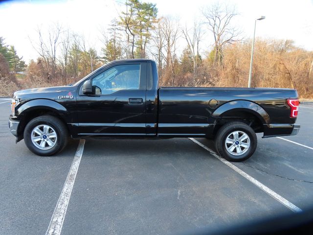 2019 Ford F-150 XL 4WD Reg Cab 8' Box - 22906333 - 4