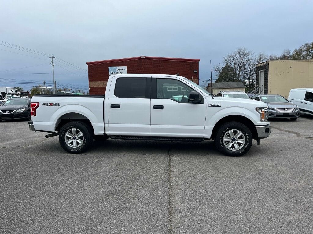 2019 Ford F-150 XL 4WD SuperCrew 6.5' Box - 22662716 - 4