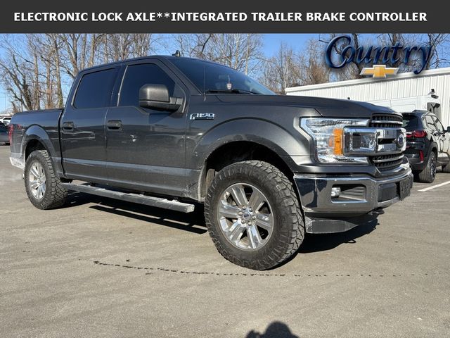 2019 Ford F-150 XLT - 22981445 - 0