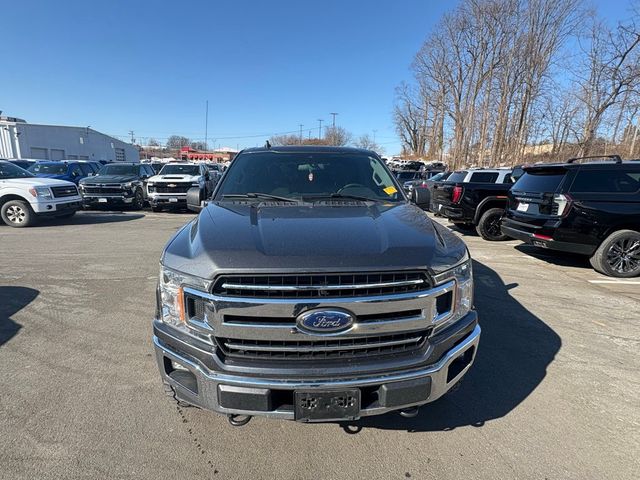 2019 Ford F-150 XLT - 22981445 - 4