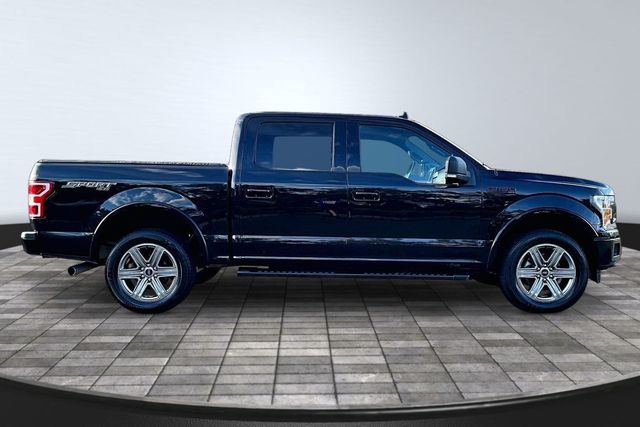 2019 Ford F-150 XLT 4WD SuperCrew 5.5' Box - 23085133 - 7