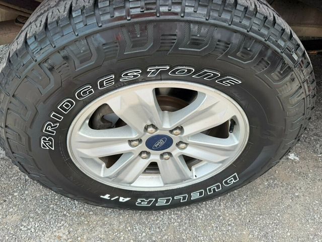 2019 Ford F-150 XLT 4WD SuperCrew 6.5' Box - 23059776 - 14