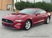 2019 Ford Mustang 2019 FORD MUSTANG COUPE 2.3L ECOBOOST AUTO SERVICED 615-730-9991 - 22919769 - 2