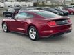 2019 Ford Mustang 2019 FORD MUSTANG COUPE 2.3L ECOBOOST AUTO SERVICED 615-730-9991 - 22919769 - 4