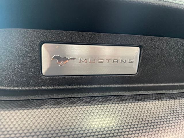 2019 Ford Mustang EcoBoost Convertible - 23064314 - 40