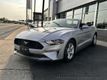 2019 Ford Mustang EcoBoost Convertible - 22461342 - 0