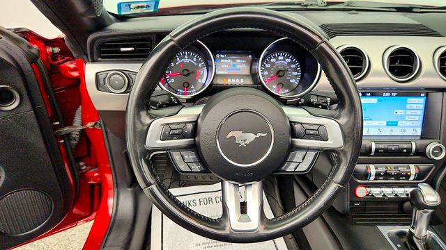 2019 Ford Mustang EcoBoost Convertible - 23090471 - 13