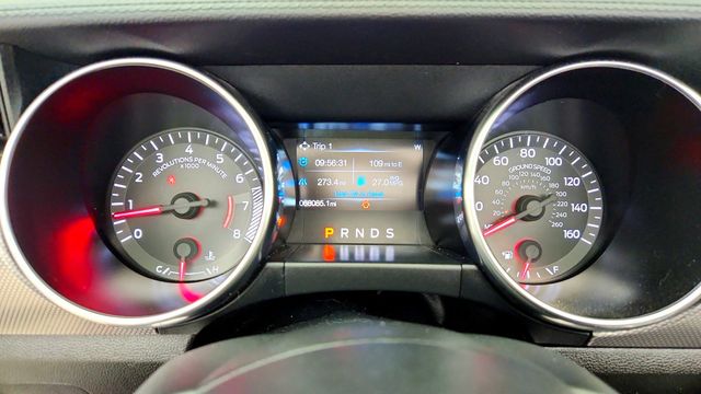 2019 Ford Mustang EcoBoost Convertible - 23090471 - 14
