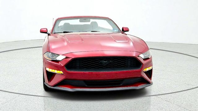 2019 Ford Mustang EcoBoost Convertible - 23090471 - 1