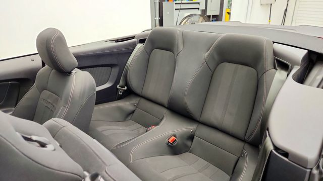 2019 Ford Mustang EcoBoost Convertible - 23090471 - 20