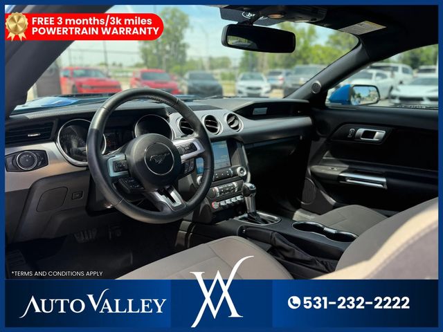 2019 Ford Mustang EcoBoost Coupe 2D - 23041923 - 11