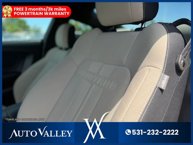 2019 Ford Mustang EcoBoost Coupe 2D - 23041923 - 13